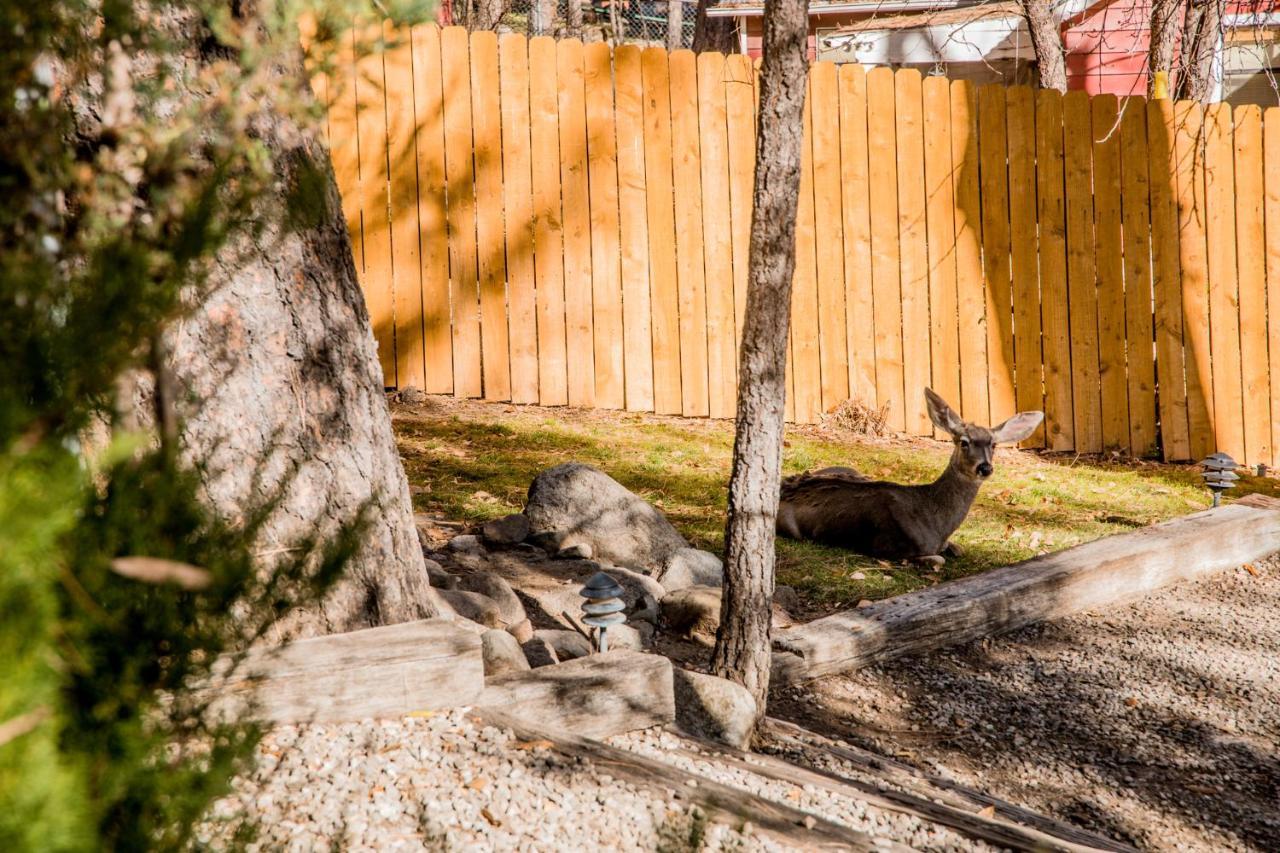 Ruidoso Lodge Cabins # 8 Екстер'єр фото